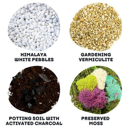 Terrarium Starter Kit | Moss, Vermiculite, Soil, Pebbles, Plant Food, & Finishing Tools (Large Kit + Live Plants + Crystals) - size: Large Kit + Live Plants + Crystals
