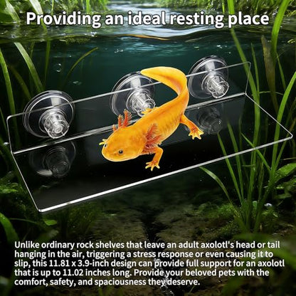 11.8 Inch Axolotl Hammock Ledge with Ceramic Dish and 3 Suction Cups | Secure Wall Mounting Creates a Comfortable Elevated Spot for Resting, Climbing and Feeding in Smooth-Sided Tanks