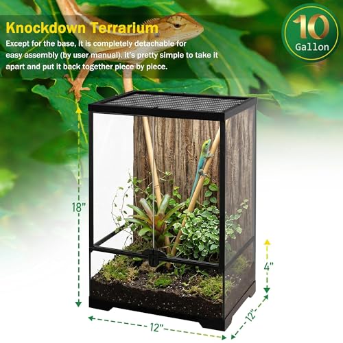 12"x12"x18" Reptile Terrarium, Aluminum-Frame Glass Vivarium for Small Day Geckos Such as Neon Day Geckos, with Lock, Cable Port, Waterproof Deep Base