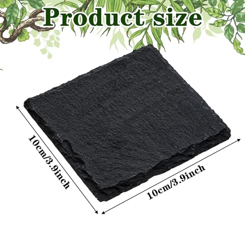Yuanchu Reptile Basking Platform, Slate Tortoise Rock Plate, Natural Rock Reptile Food Dish Bowl, Habitat Decor for Turtle Bearded Dragon Lizard Gecko Snake