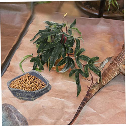 Reptile Feeding Bowl Resin Reptile Supplies Lizard Food Storage Container Tortoise Water Feeder