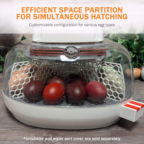 Hatch Divider for Nurture Right 360 Egg Incubator, Easy Install Egg Divider