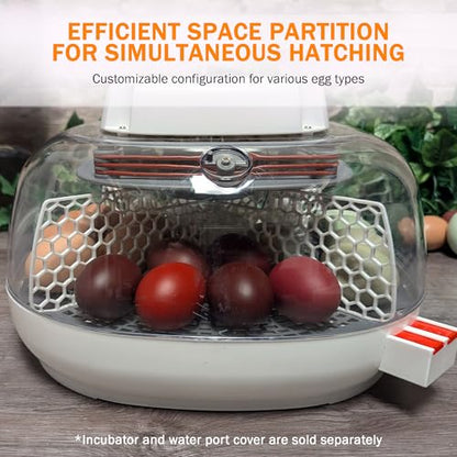 Hatch Divider for Nurture Right 360 Egg Incubator, Easy Install Egg Divider