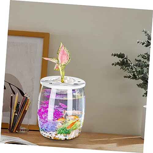Plastic Fish Tank Desktop Goldfish Aquarium for Home Decor for Small Turtles and Reptiles Durable and Space Saving Design Decorative Fish Bowl for Any Setting