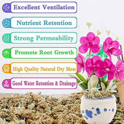 4QT Sphagnum Moss for Plants - 3.5OZ Natural Long Fibers Orchid Moss | Moisture Retention & Drainage Balance, Plant Moss for Orchids, Succulents, Carnivorous, Ferns, Reptile Bedding & Terrariums - size: 4 QT(3.5 oz)