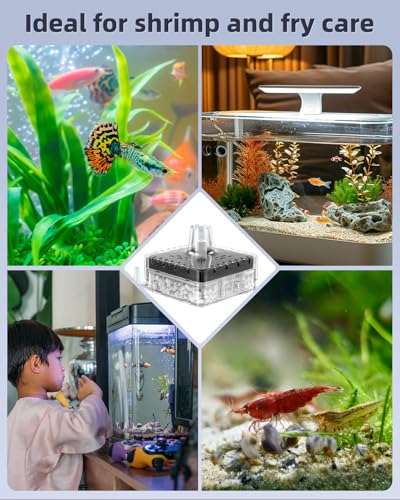 Pawfly Aquarium Sponge Filter, Small Fish Tank Filter with Foam and Air Stone, Sponge Filter for Fish Tanks up to 5 Gallons (Air Pump Not Included)