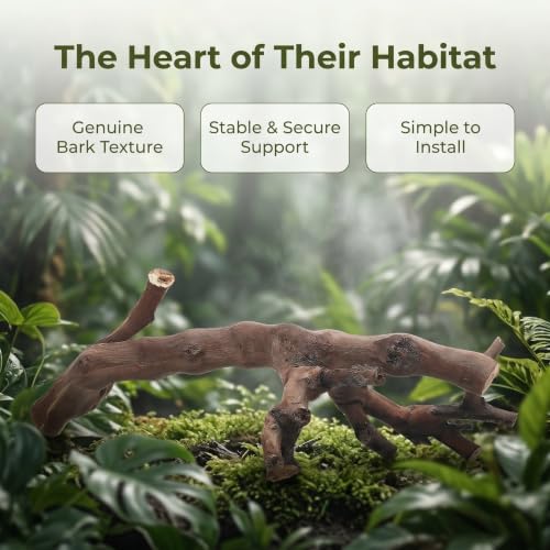 GALPADA 2pcs Reptile Climbing Branches Natural Wood Cork Logs with Smooth Safety Surface and Sturdy Support for Snake and Bearded Dragon Terrarium Decor Enclosures