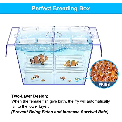 DaToo Fish Breeding Box Aquarium Holding Tank Transparent Fish Isolation Box Acclimation Hatchery Incubator Breeder for Betta Shrimp Clownfish Guppy