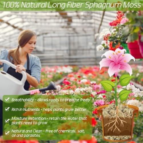 2.2 lb Premium Sphagnum Moss Bulk, Natural Long Fiber Orchid Sphagnum Peat Moss for Carnivorous Plants Succulent Monstera Indoor Outdoor Plants & Reptiles Terrariums Habitats(Expands to 40 qt) - size: 2.2 pounds
