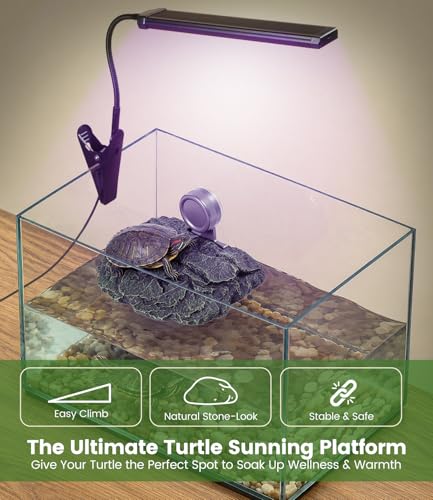 Baby Turtle Basking Platform Aquatic Turtle Resting Ramp Terrace Rock | 7.8x6 inch, Made of Resin, Easy-Climb Ramp, Strong Suction Cups, Perfect for Hatchlings & Juveniles, Authentic Rock Textures - size: Small
