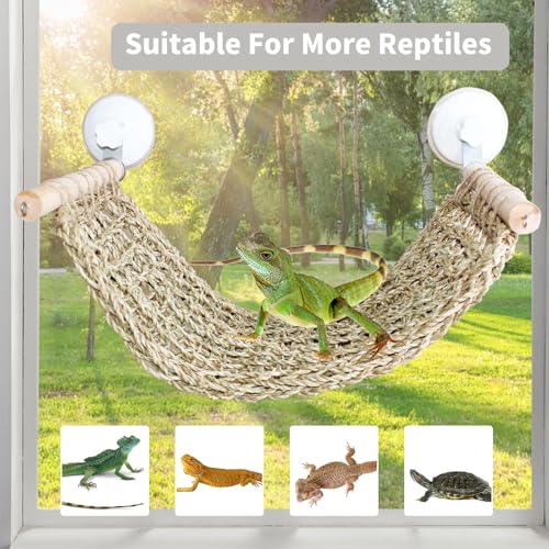 FlidRunest 21.6 x 7.8 in Seagrass Bearded Dragon Hammock for Window, Large Lizard Window Perch, Reptile Hammock Perch with Powerful Suction Cups for Lizard, Leopard Gecko, Chameleon