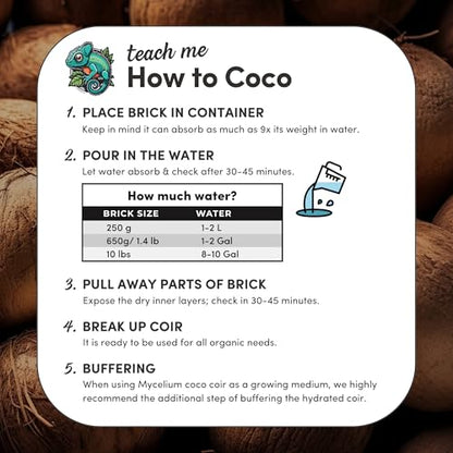 Mycelium Coco Coir Brick Mushroom Growing Kit I Expandable Organic Coconut Fiber Substrate I Indoor Mushroom Cultivation for Starter & Pro Home Growers I OMRI Certified & Non-GMO, 10lbs - style: Mushroom Cultivation
