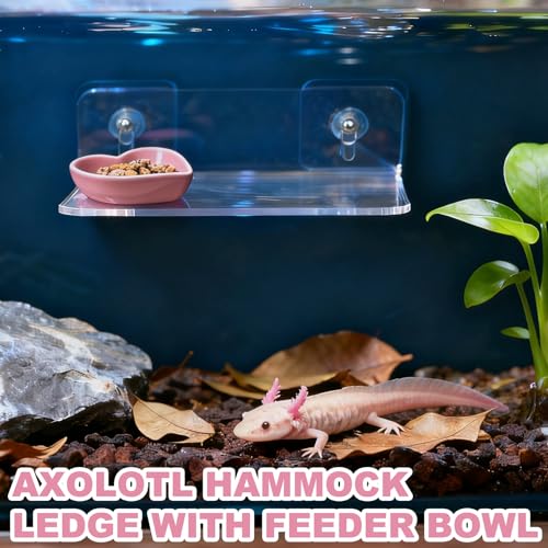 Axolotl Feeding Shelf with Feeder Bowl, Axolotl Hammock for Aquarium with Feeding Tray, Axolotl Tank Accessories for Bearded Dragons, Geckos, Lizards, Hamsters, Crabs - color: Feeding Shelf with Pink Feeder Bowl