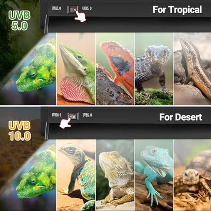 REPTI ZOO Switchable UVB Light for Reptiles, 24W T5 UVB Light Combo Kit for Tropical & Desert Reptile, 22.6" Terrarium Hood Lamp Fixture with UVB 10.0 Bulb for Bearded Dragon Snake Gecko Lizard Turtle - size: 22.6 IN