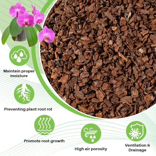 Sukh 8OZ Orchid Bark Planting Soil - Orchid Potting Mix (5-12 MM) | Horticultural Cypress Mulch Horticulture Dryad Pine Bark Natural Wood Chips for Plants Garden Orchid Medium Indoor Plant