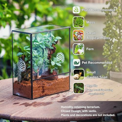 NCYP Glass Terrarium with Front Opening Door and 3 Vents for Insects, Snail, Spider, Glass Enclosure - 8"x4.5"x10" Clear Closed Plant Greenhouse Box (Terrarium Only)