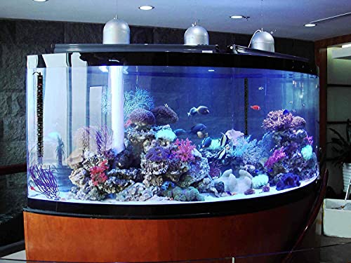 100W/300W/500W Aquarium Heater 500 Watt Fish Tank Heater Submersible Auto Thermostat Turtle Tank Heater 40-90 Gallon with Protective Sleeve and 3 Suckers - color: 500W (for 50-90 gallon)