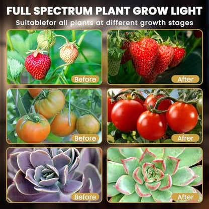 bseah Plant Grow Light for Indoor Plants, Full Spectrum Indoor Grow Light, 10-Level Dimmable and Auto ON & Off Timer - style: 3 Tubes