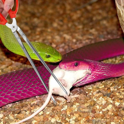 Vodolo Snake Feeding Tongs,2PCS 15 Inch Reptile Feeding Tongs,Extra Long Large Tweezers for Corn Ball Python Accessories,Bearded Dragon Reptile Gecko Tank Accessories Terrarium Supplies - size: 2PCS