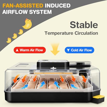 Sailnovo 48 Egg Incubator for Hatching Eggs with Auto Egg Turning, Precision Temp & Humidity Control, 360°Viewing, Egg Candler, Incubator for Chicken Eggs/Duck/Quail,Ideal for Farm/School/Lab,Gray | Precise Temp & Humidity Control，Auto Egg Turning, 360°Vi