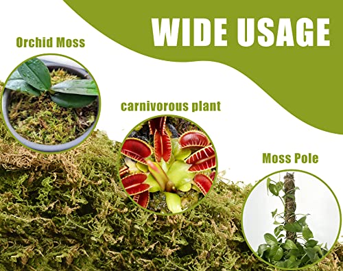 Dried Forest Moss for Plants 16oz / 9qt, Green Orchid Sphagnum Moss, Long Fibered Dried Moss for Succulents Garden Flowers Pot and Reptiles - size: 9qt/16oz