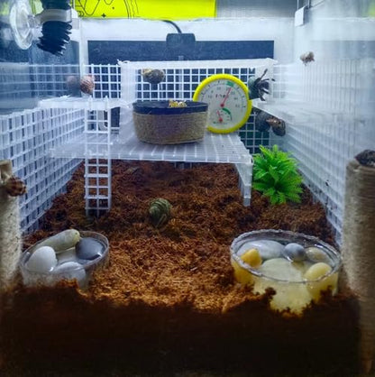 Hermit Crab Climbing Toys Reptile Habitat Grid Cuttable Plastic Net Hermit Crab Climbing Ladder Hideout Small Animal Cage Accessories - style: Classic