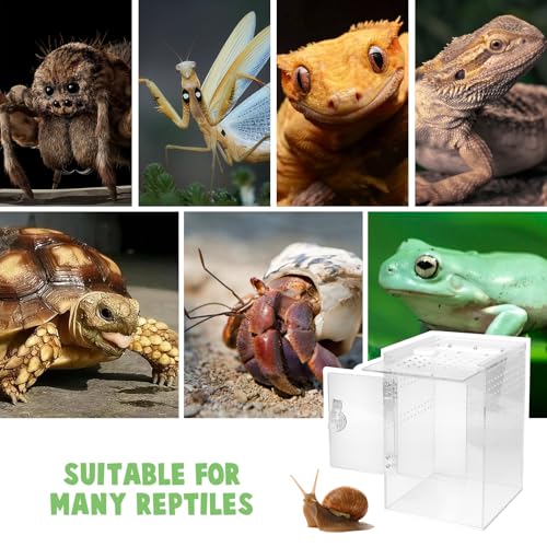 Tall Arboreal Tarantula Enclosure【𝐍𝐨 𝐀𝐬𝐬𝐞𝐦𝐛𝐥𝐲 𝐑𝐞𝐪𝐮𝐢𝐫𝐞𝐝】, Jumping Spider Enclosure, Front Above Opening, Cross Ventilation, Acrylic Arboreal Reptile Enclosure,Praying Mantis Enclosure - size: 6*6*9in