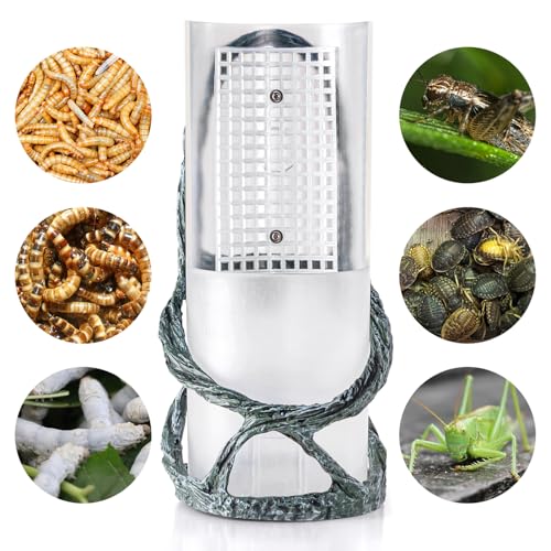 Chameleon Feeding Bowl, Resin Vine Reptile Feeder with Grid Plate for Insect to Climb and Move, Reptile Hunting Bowl with Suction Cup for Chameleon, Lizard, Bearded Dragons, Iguana, Gecko, Frog