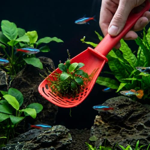 2 PCS Litter Scooper Small Holes, Plastic Hamster Sand Bath Shovel, Cat Litter Box Scoop Cleaning Tool for Guinea Pig Reptile Hamster Cage Accessories