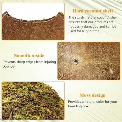 PINVNBY 4 Pack Natural Green Moss Hide Caves Coconut Reptile Hideouts Hamster Climbing Toys Gecko Habitat Decor Lizard Shell Shelter for Snake Tarantulas Turtle Chameleon - size: 4 PCS Moss Surface