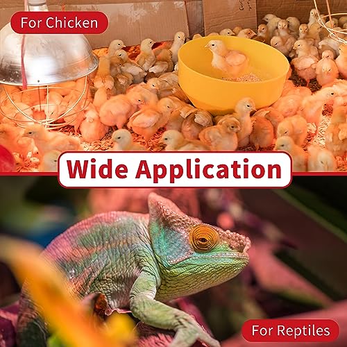 250 Watt Red Heat Lamp Bulbs, Chicken Infrared Incandescent Light Bulb, Brooder Heat Lamps for Chickens, Chicks, Reptile, Pets, Coop, Poultry, Food, Bathroom, Ceiling, E26 Base - 2 Pack