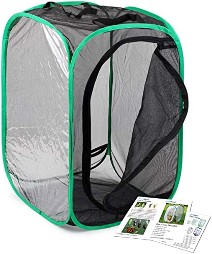 RESTCLOUD Insect and Butterfly Habitat Cage Pop-up 23.6 Inches Tall | Butterfly Terrarium, Enclosure, Tight Mesh - color: Black With Green, size: 15.7 x 15.7 x 23.6 inches