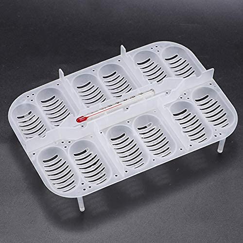 Reptile Breeding Box,16.5x11x5.2cm Reptile Hatchery Box Reptile Incubation Box with Transparent Cover and Temperature Measuring for Hatching Reptiles Lizards, Snakes