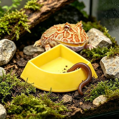 4 Pack Corner Reptile Food Water Dish, 3D Printed Quadrant Feeding Bowl for Leopard Gecko Lizard Bearded Dragon Chameleon Snake, Plastic Worm Feeder Plate for Small Reptile Pet Habitat