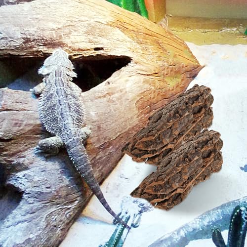 Toyvian Natural Cork Bark Flats Rounds, Organic Reptile Hide Basking Platform Bioactive Terrarium Wood Decor for Bearded Dragons Geckos Hermit Crabs
