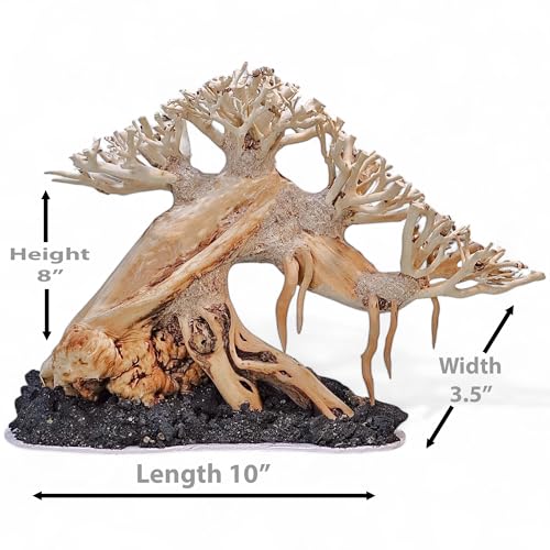 Azil Bonsai Driftwood Aquarium Tree for Aquarium Decor Fish Tank Decorations (10.1'' Length)
