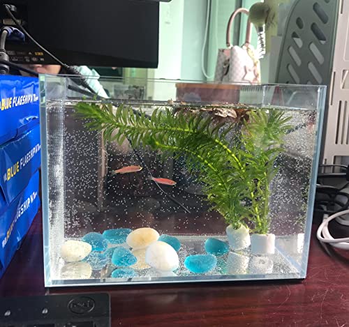 AWXZOM Small Nano Rimless Tank, Clear Glass Fish Tank, 1.1 Gallon, 7.8x5.5x5.9inch/20x14x15cm, Betta Fish Tank - size: 1.1Gallon 7.8x5.5x5.9inch/20x14x15cm