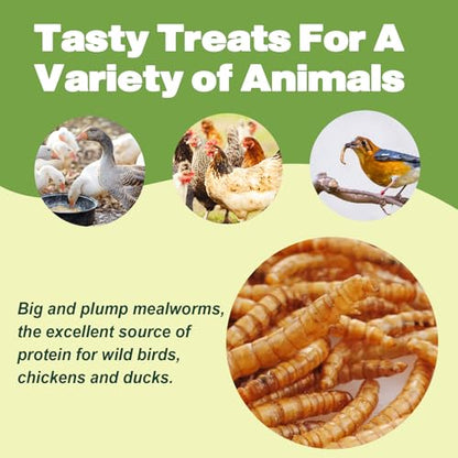 5LB Dried Mealworms for Chickens, Laying Hens, Ducks & Wild Birds | 100% Natural Non-GMO Whole Mealworms, Supports Feather Health & Molting, Resealable Bulk Bag for Daily Flock Feeding