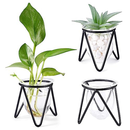 Jspupifip 3 Pcs Glass Plant Terrarium with Metal Stand | Air Plants Holders, Hydroponic Plant Vases, Desktop Bulb Glass Vase, Home Office Decor