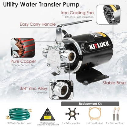Water Transfer Pump, 115V 1/10HP 330GPH Utility Water Pump Electric With 6ft Suction Hose Kit, Portable Small Water Pump For Pool Draining, Removing Water From Rain Barrel, Aquariums, etc. - style: 1/10HP