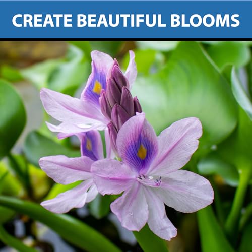 CrystalClear Thrive Pond Plant Food, Fish Safe Fertilizer, 60 Tablets | For aquatic water gardens, nutrients boost lily & lotus flower bloom and root growth - size: 60 Tablets