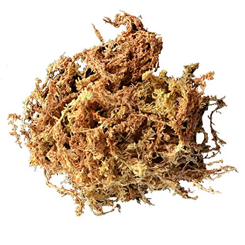 Mosser Lee ML0110 Long Fibered Sphagnum Moss, 432-Cubic Inch,Grey (Pack of 2)