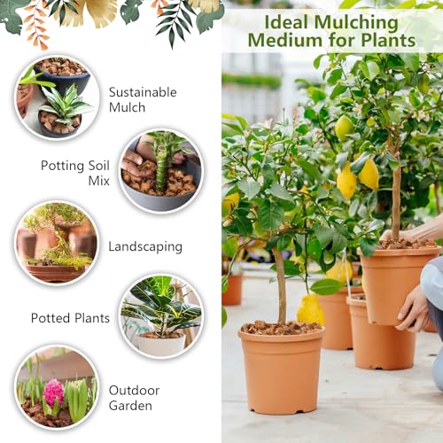 1.1 LB Coco Coir Chips for Plants- Organic Coconut Husk Potting Mix | Coconut Mulch Coco Husk Chips for Garden, Potted Plants, Orchid Repotting Soil Mix, High Expansion & Moisture Retention - size: 1 Pack