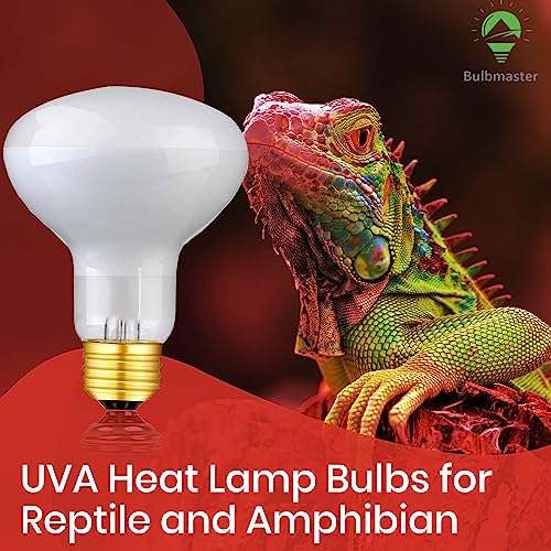 75 Watts UVA Reptile Heat Lamp Bulbs Basking Light for Reptiles and Amphibian, Basking Light for Bearded Dragon, UVA Reptile Light Bulb E26 Base 2 Pack - style: 75WR25-WHITE-2PK