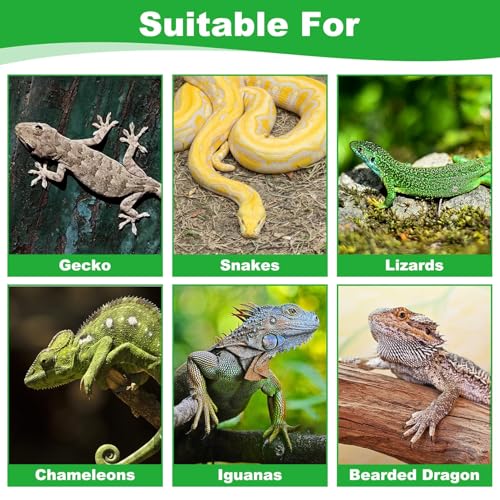 kathson Reptile Carpet, Natural Moss Mat for Terrarium, Bearded Dragon Tank Flooring Green Substrate Liner for Leopard Gecko Hermit Crab Lizard Tortoise (47.24" X 11.81")