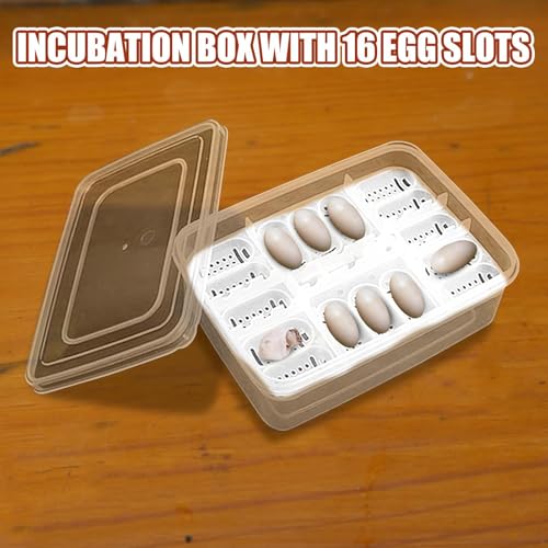 Reptile Incubation Egg Trays Incubation Box Hatching Case Hatching Tray | 16 Grids Transparent Reptile Incubator for Snake Lizard Turtle Gecko Chameleon Bearded Dragon Leopard Gecko Egg Incubation - color: TO