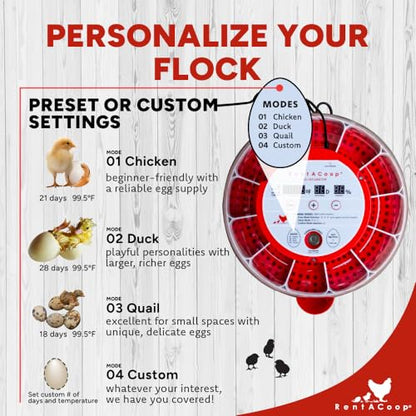 RentACoop 16-Egg Smart Incubator – App Controlled, Auto-Turn, Built in Candling Light Perfect for Chickens, Ducks, and Quail!