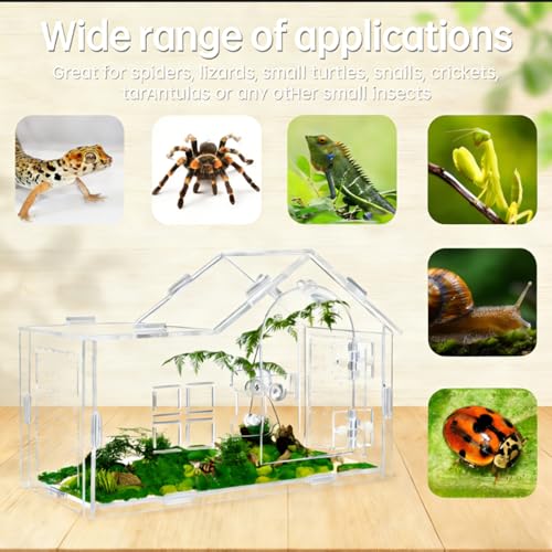 Jumping Spider Enclosure, Acrylic Habitat, 1 Pack | Secure Feeding Port & Ventilation, Ideal Treehouse for Arboreal Spiders, Easy-Clean Terrarium
