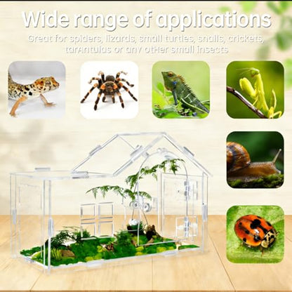 Jumping Spider Enclosure, Acrylic Habitat, 1 Pack | Secure Feeding Port & Ventilation, Ideal Treehouse for Arboreal Spiders, Easy-Clean Terrarium