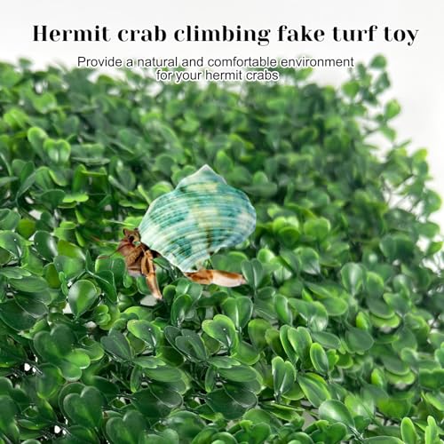 Rainmae Hermit Crab Climbing Toys, Faux Grass Mat Fake Turf Hermit Crab Climbing Wall, Plastic Aquarium Plants Lawn Hermit Crab Supplies Climbing and Hide Toy for Gecko Reptile Lizard 10 x 10 Inch
